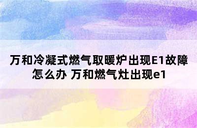 万和冷凝式燃气取暖炉出现E1故障怎么办 万和燃气灶出现e1